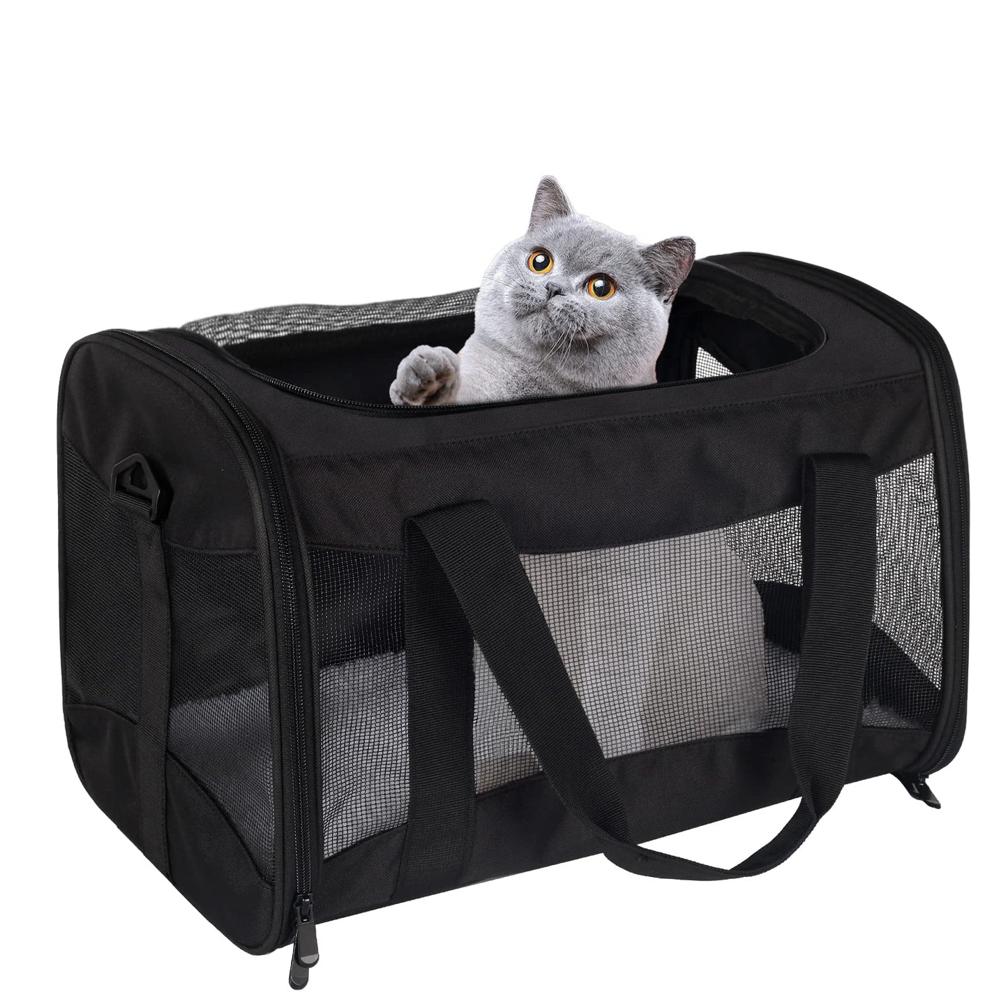 Airline Approved Soft Pet Carrier for Cats & Small Dogs