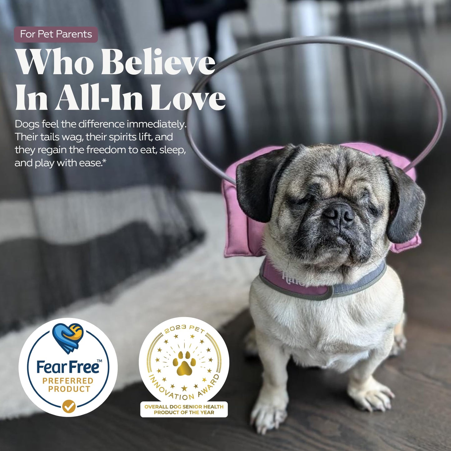 Blind Dog Halo Harness for Safe Walking Support