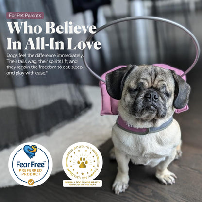 Blind Dog Halo Harness for Safe Walking Support