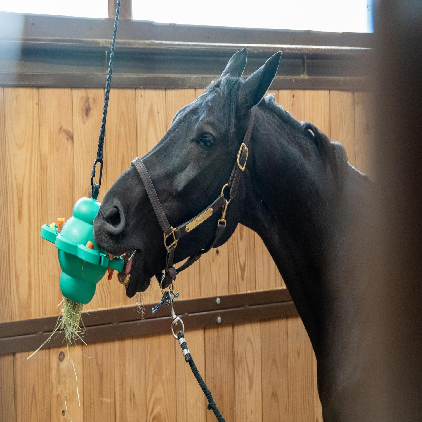 Treat Puzzle Ball Toy for Horses