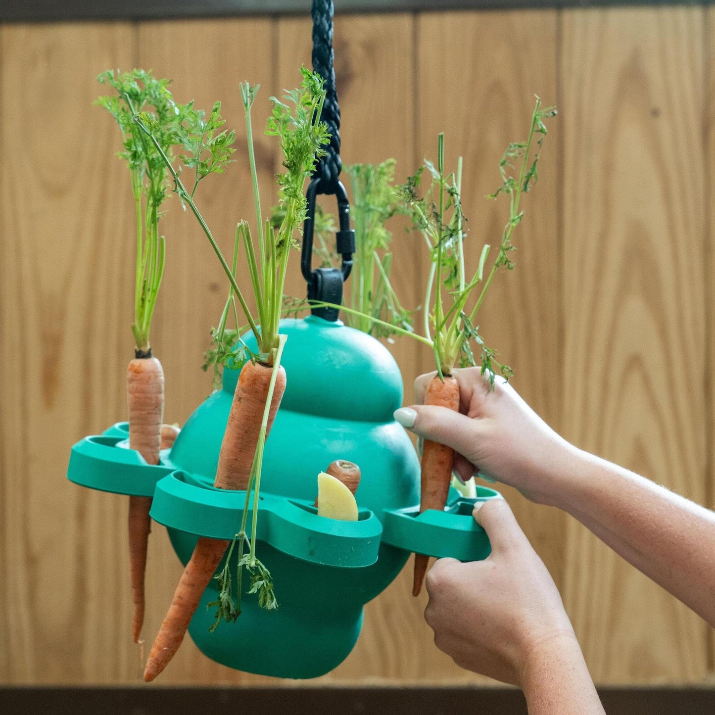 Treat Puzzle Ball Toy for Horses