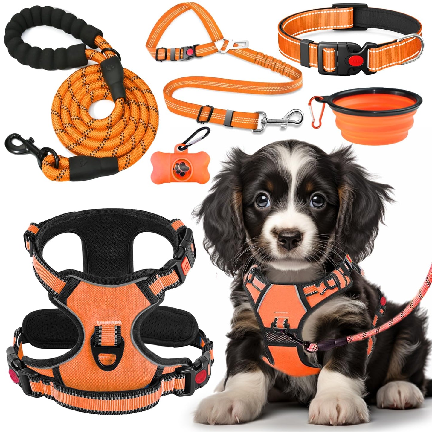 No Pull Dog Harness Set with Leash and Collar