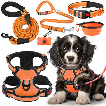 No Pull Dog Harness Set with Leash and Collar