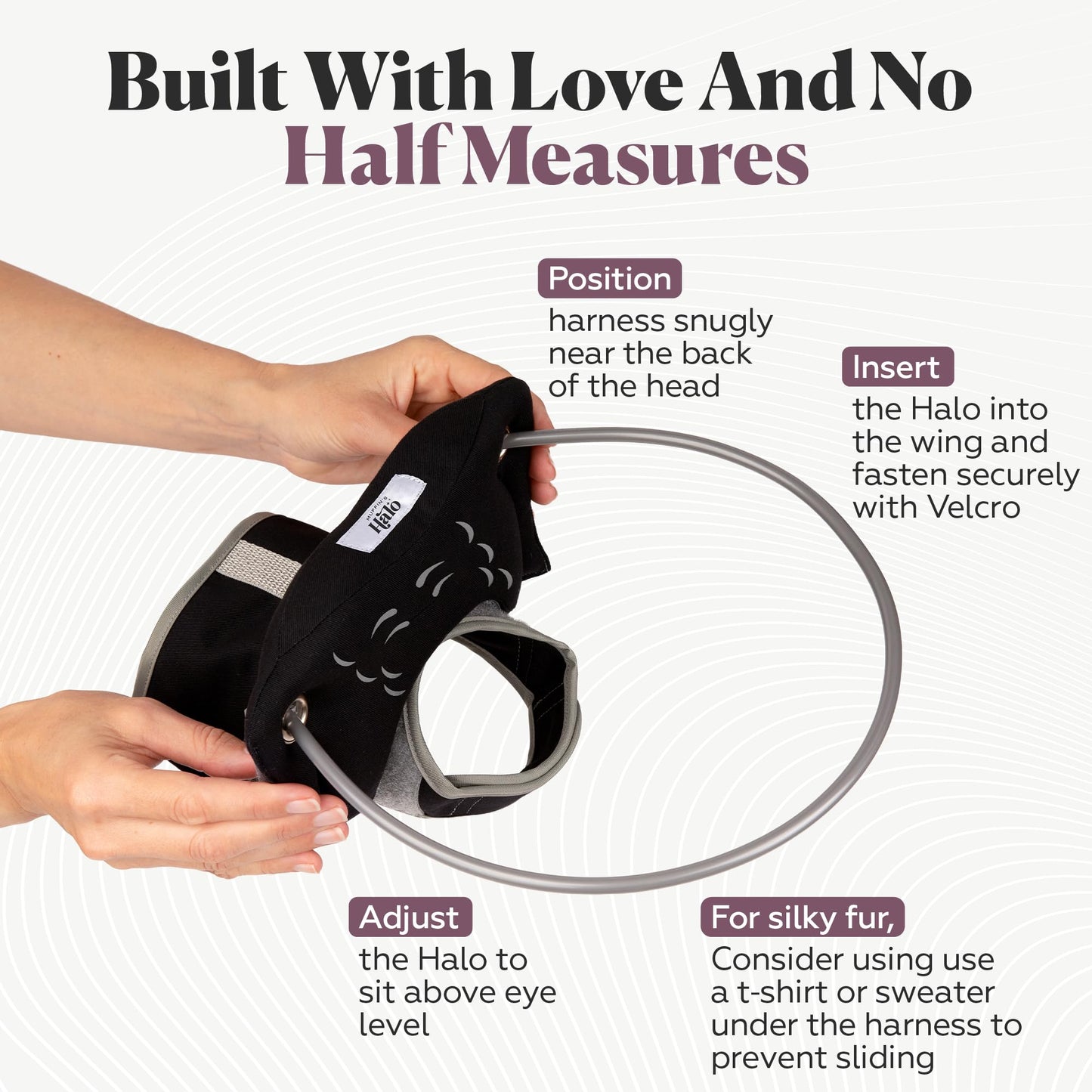 Blind Dog Halo Harness for Safe Walking Support