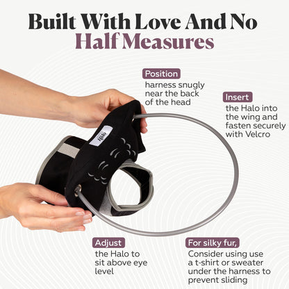 Blind Dog Halo Harness for Safe Walking Support