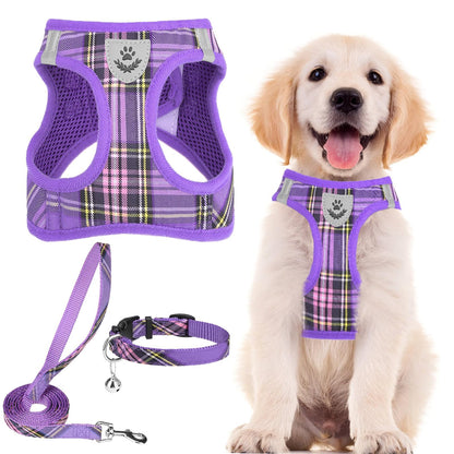 No Pull Dog Harness Set with Collar and Leash