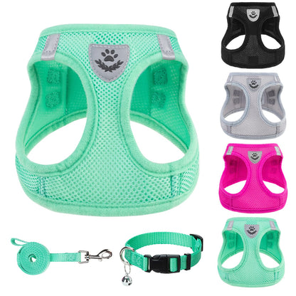 No Pull Dog Harness Set with Collar and Leash