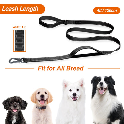 Reflective Dual Handle Dog Leash for Walking Control