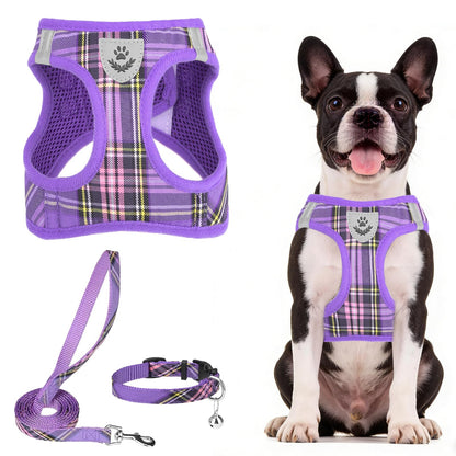 No Pull Dog Harness Set with Collar and Leash