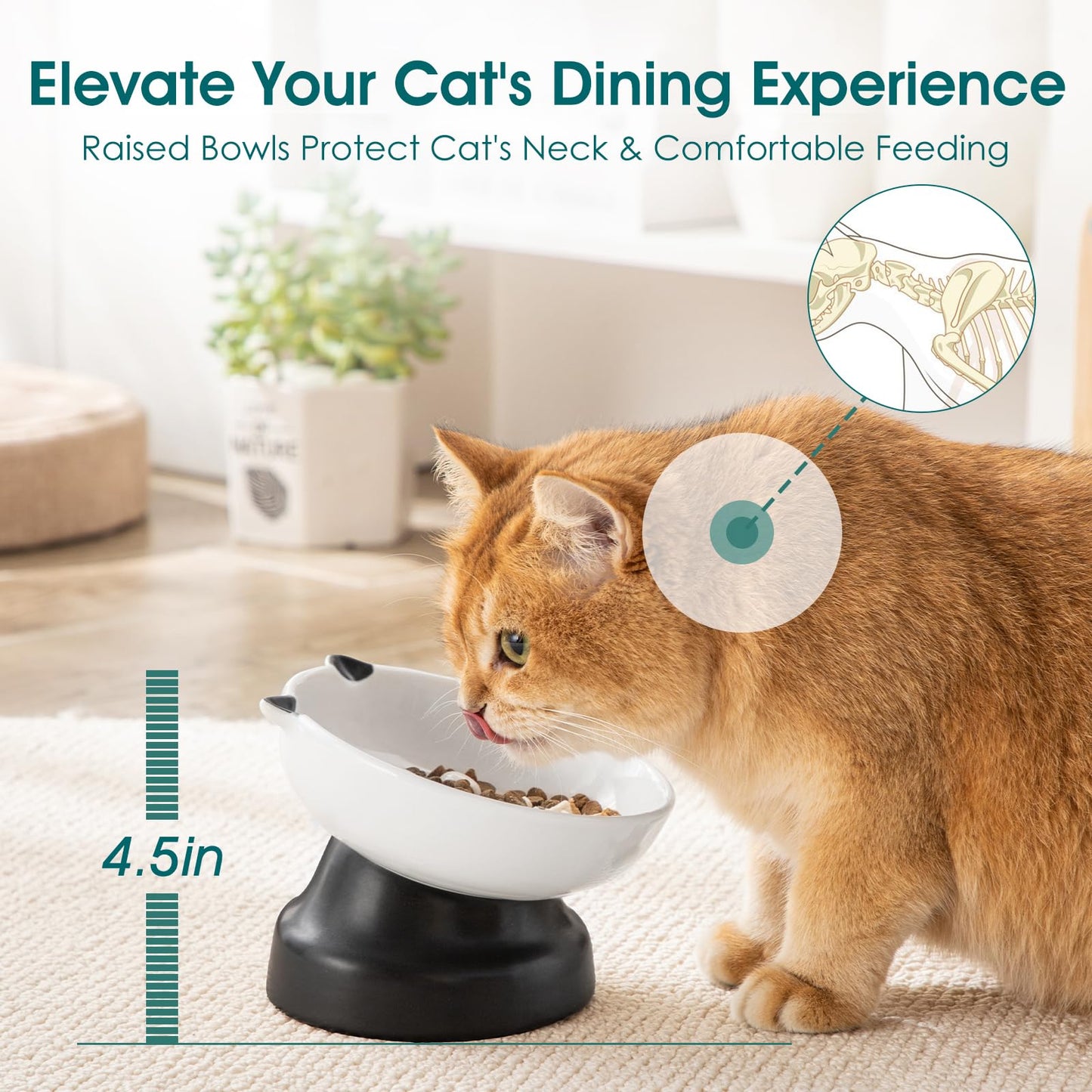 Elevated Ceramic Slow Feeder Bowl for Cats & Small Dogs