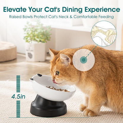 Elevated Ceramic Slow Feeder Bowl for Cats & Small Dogs