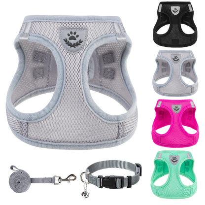 No Pull Dog Harness Set with Collar and Leash