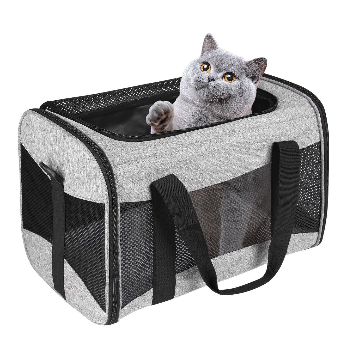 Airline Approved Soft Pet Carrier for Cats & Small Dogs
