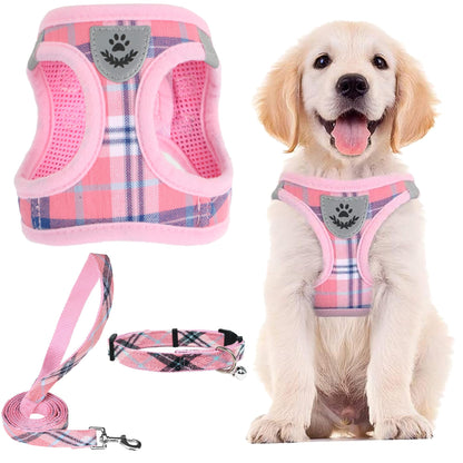 No Pull Dog Harness Set with Collar and Leash