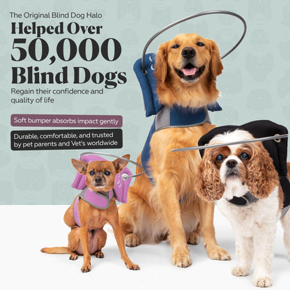 Blind Dog Halo Harness for Safe Walking Support