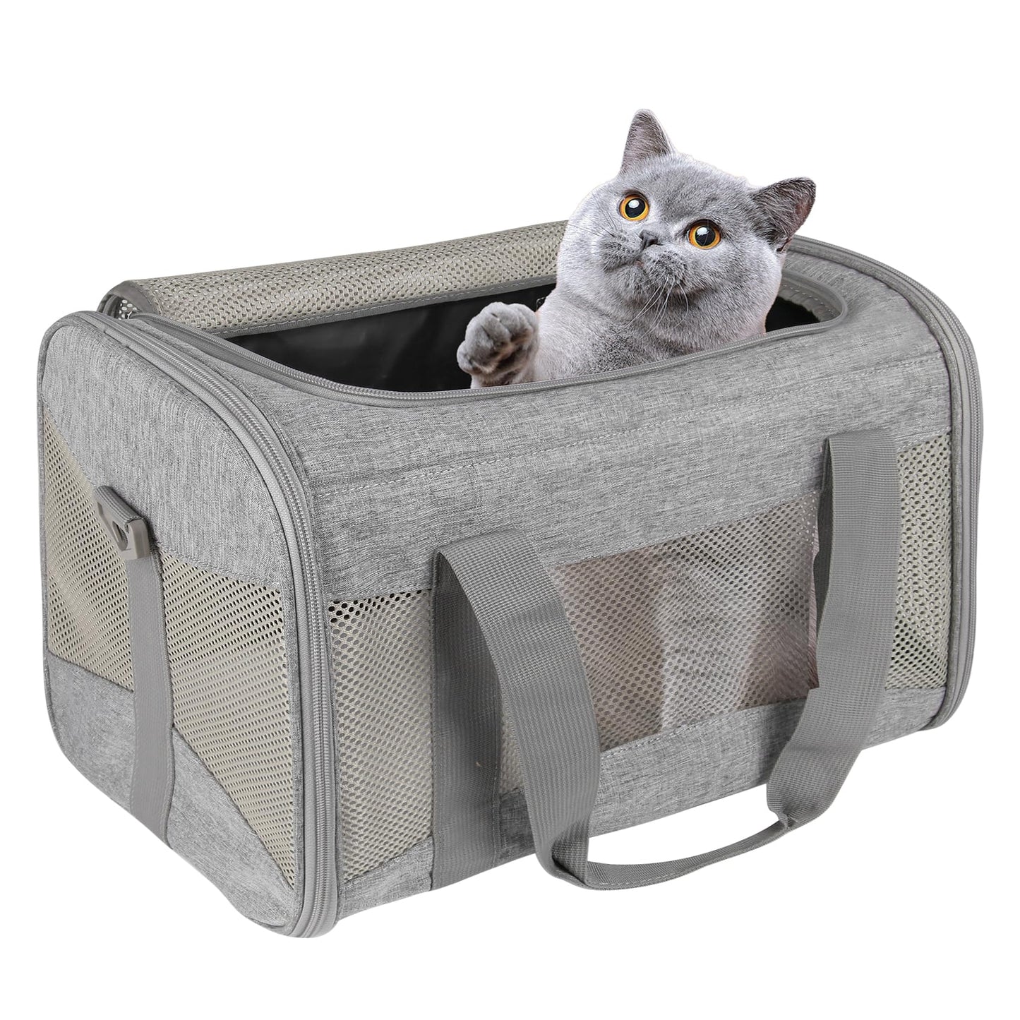 Airline Approved Soft Pet Carrier for Cats & Small Dogs