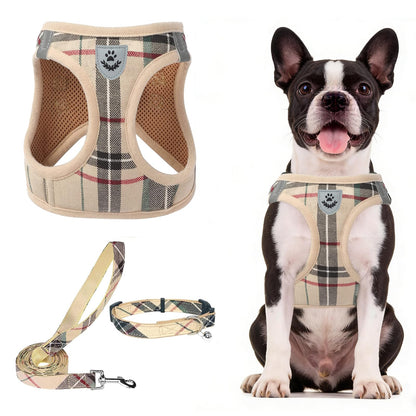 No Pull Dog Harness Set with Collar and Leash
