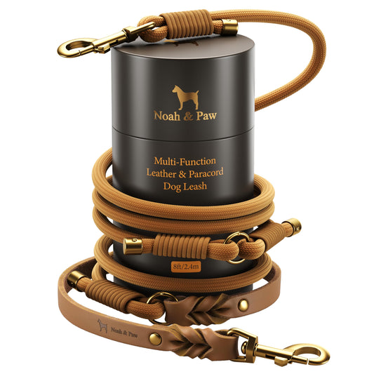 Hands Free Leather Dog Leash for Walking & Training