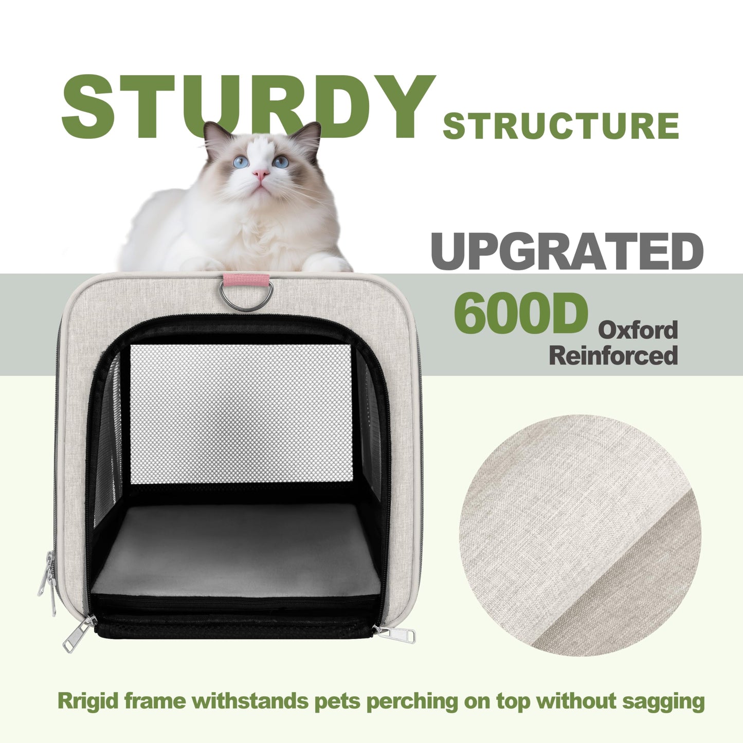 Soft Sided Top Load Pet Carrier for Cats & Small Dogs