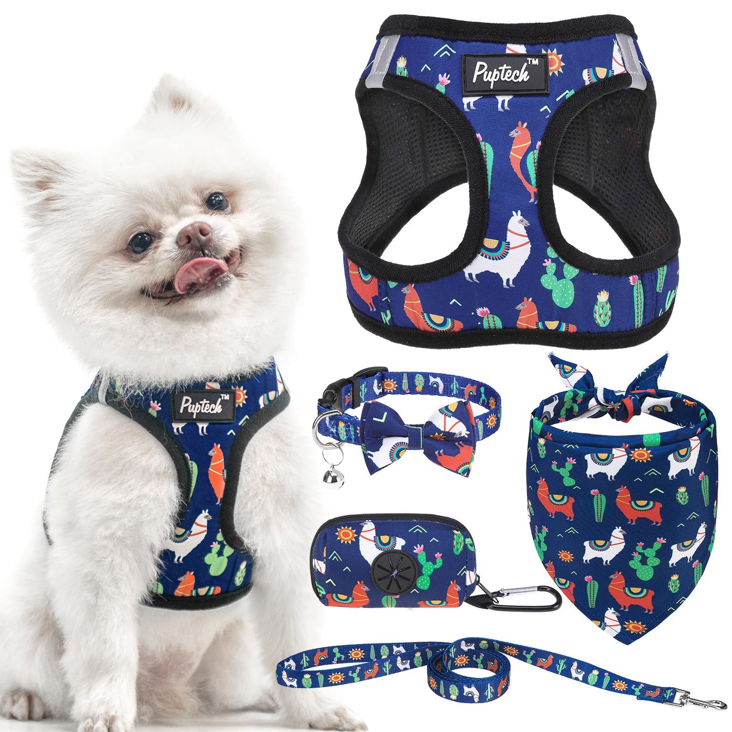 No Pull Dog Harness Set with Collar and Leash