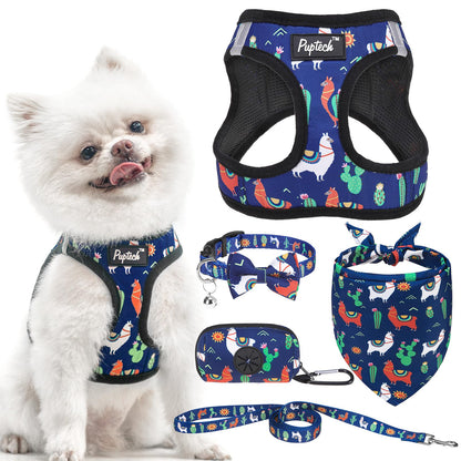 No Pull Dog Harness Set with Collar and Leash