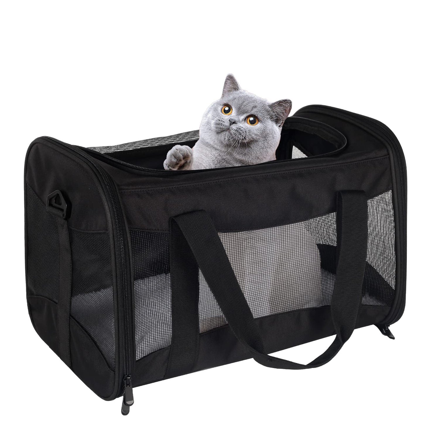Airline Approved Soft Pet Carrier for Cats & Small Dogs