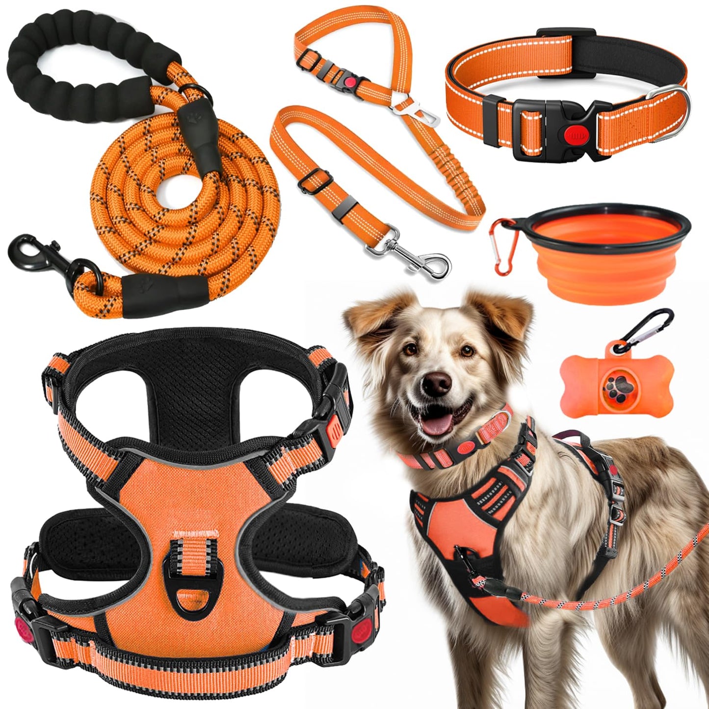 No Pull Dog Harness Set with Leash and Collar