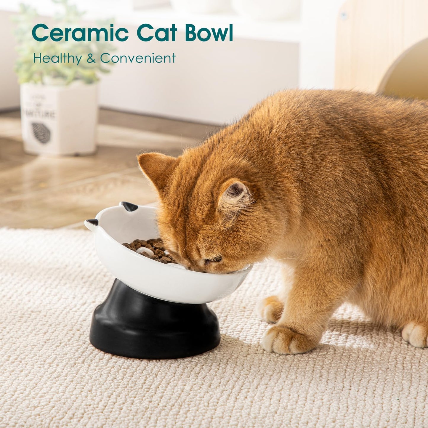 Elevated Ceramic Slow Feeder Bowl for Cats & Small Dogs