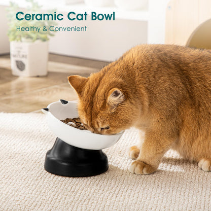 Elevated Ceramic Slow Feeder Bowl for Cats & Small Dogs