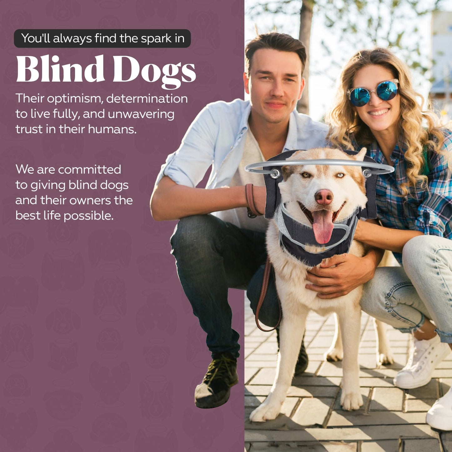 Blind Dog Halo Harness for Safe Walking Support