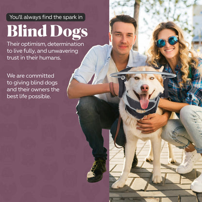 Blind Dog Halo Harness for Safe Walking Support