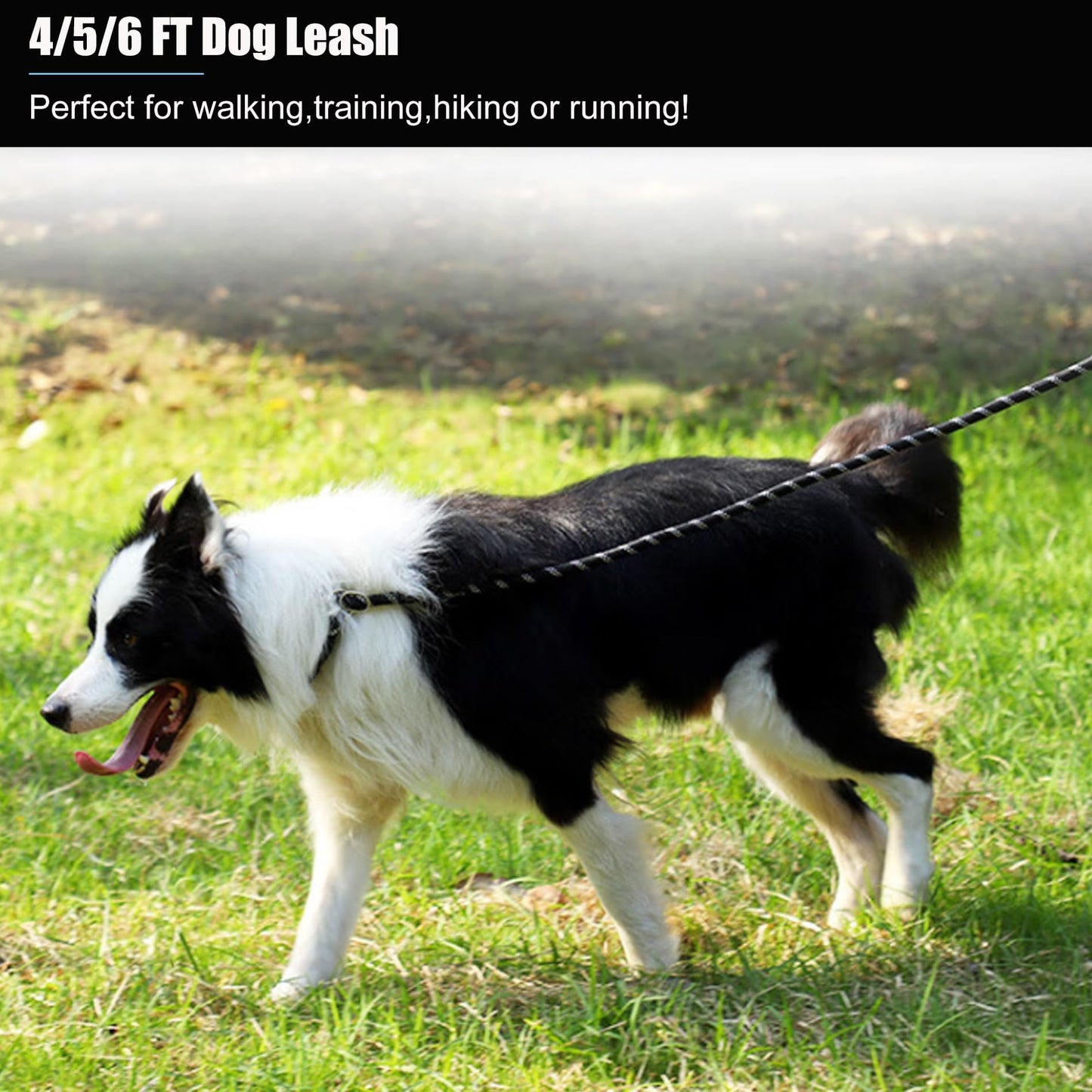 Reflective Rope Dog Leash with Padded Handle