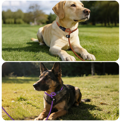 FOVRLZSE Bulk Nylon Dog Slip Leashes