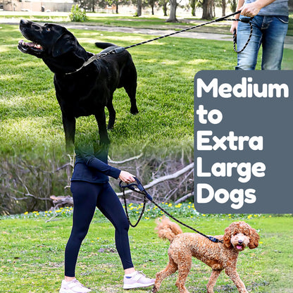 Reflective Heavy Duty Dog Leash with Padded Handles