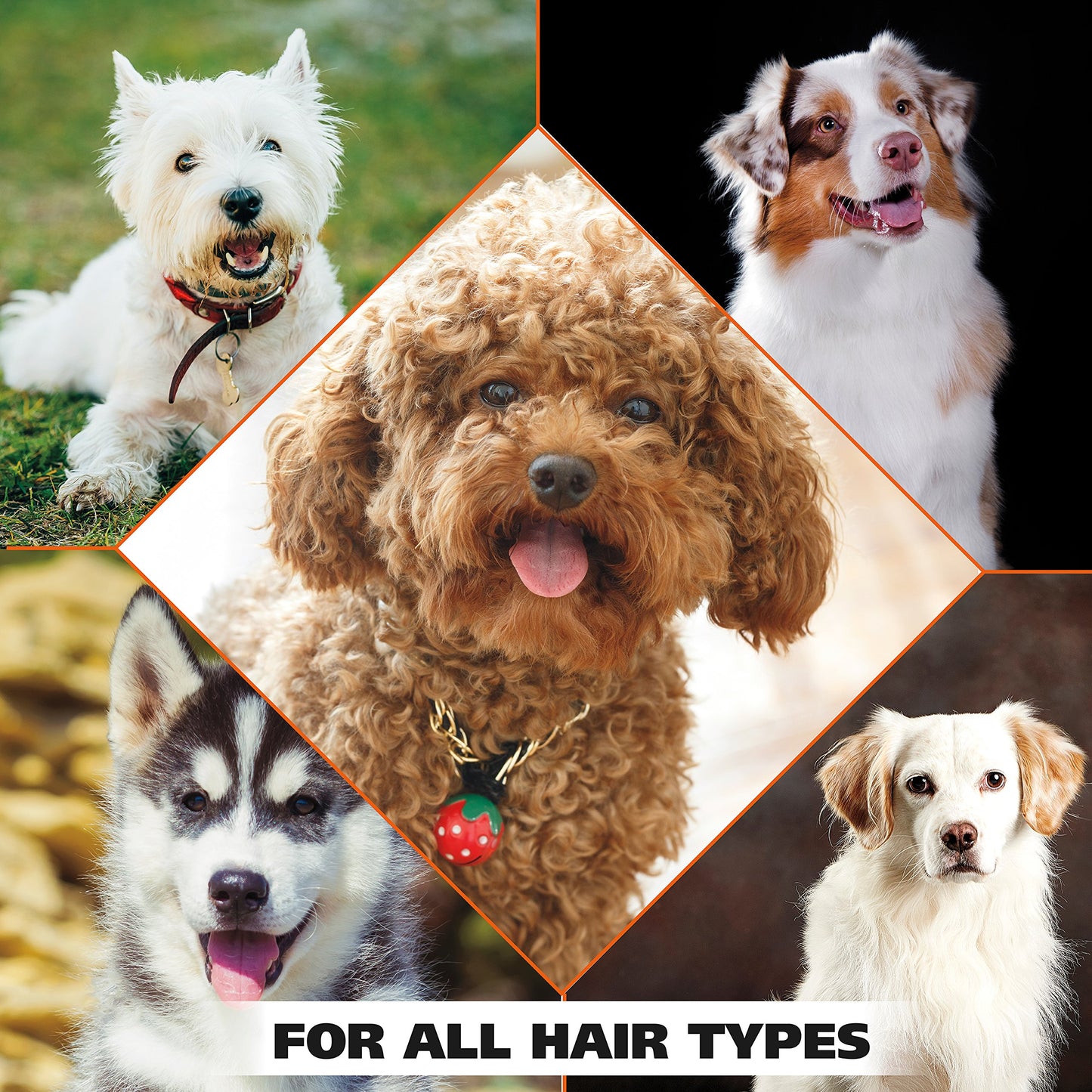 Lavender Chamomile Pet Shampoo for Dogs & Cats